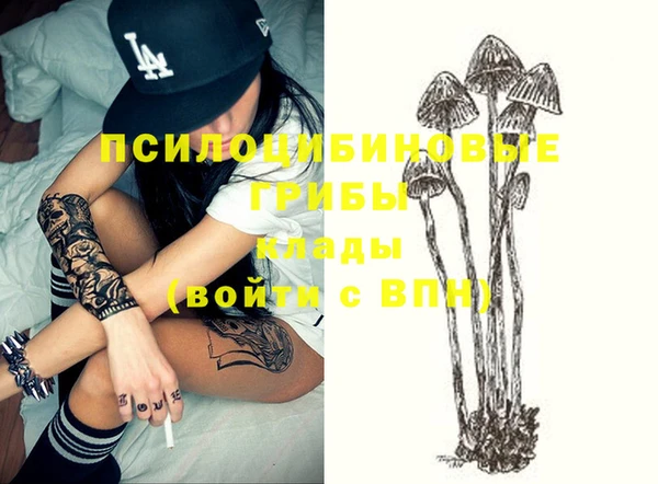 амф Надым