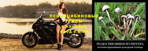 амф Надым