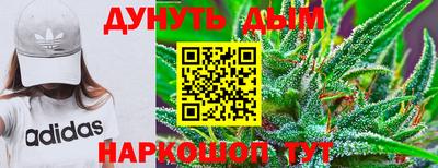 дживик Гатчина