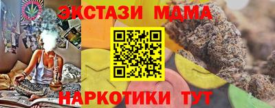 крисы Гай