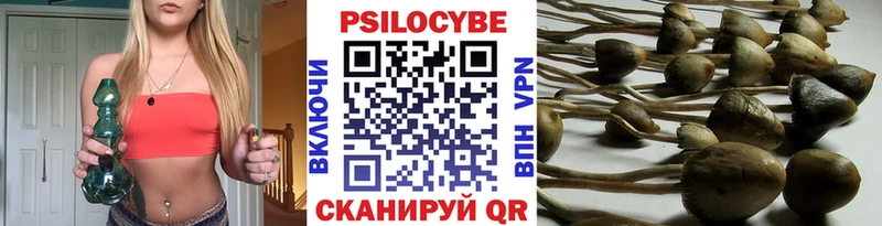 Галлюциногенные грибы мухоморы  где купить наркотик  Мытищи 