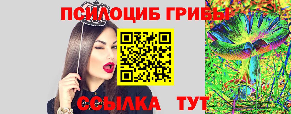 Галлюциногенные грибы Cubensis  Вход с VPN  Мытищи 